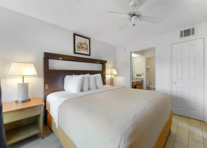 1bd King Renovated Apartment *