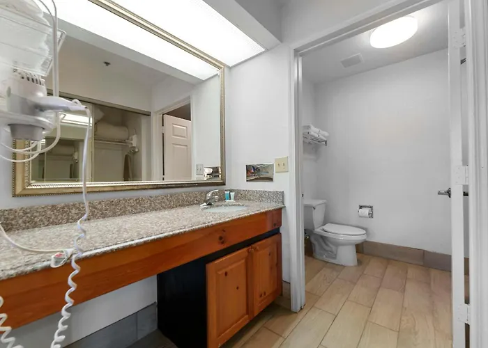 Apartment 1bd King Renovated