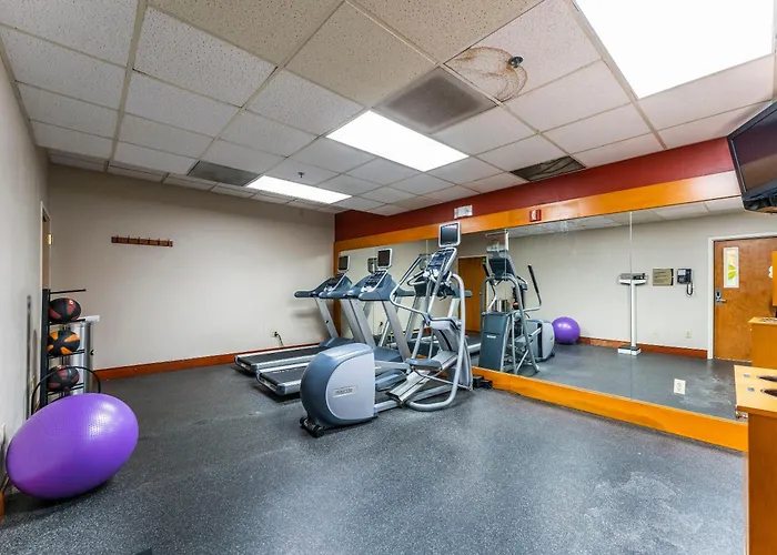 1bd King Renovated