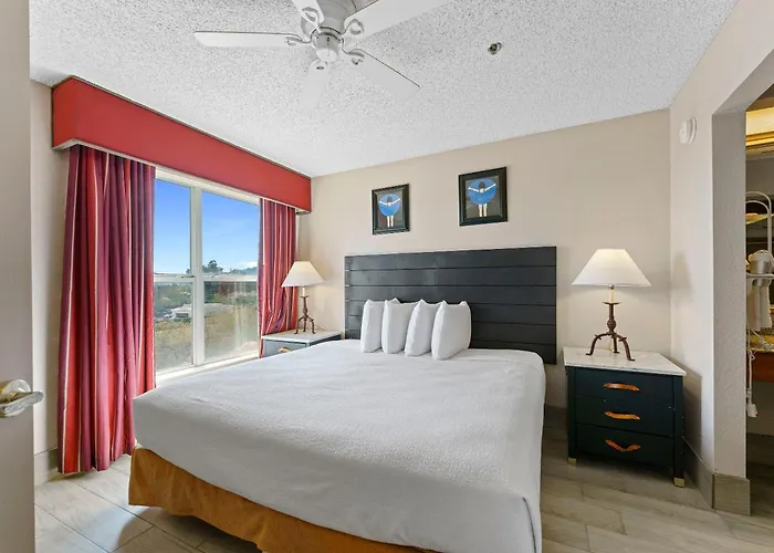1bd King Renovated Apartment *