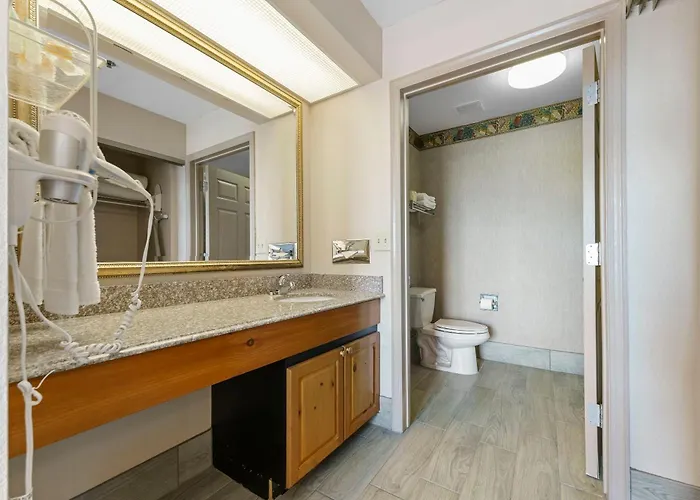 1bd King Renovated *